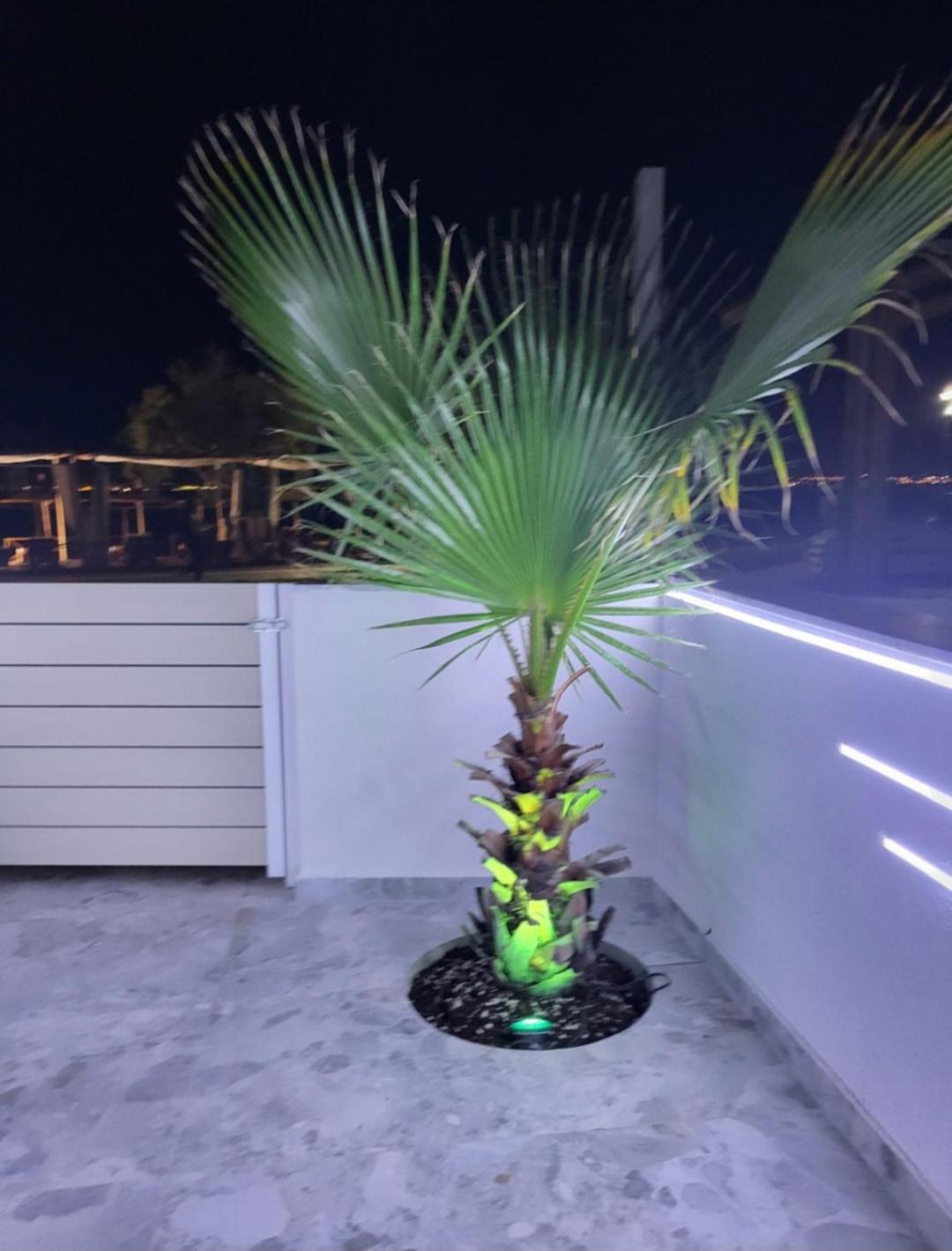 Sun Sea No 7 First Line Apartamento Peraía Exterior foto